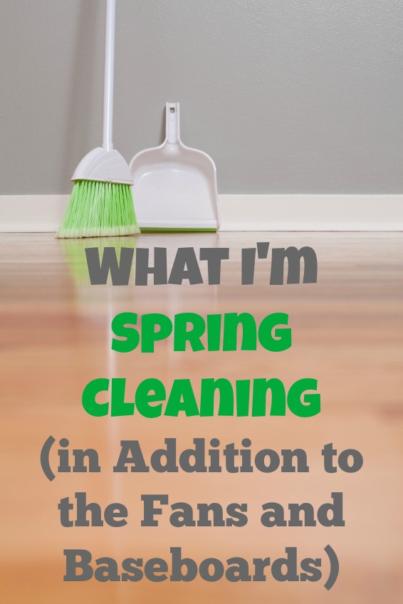 What I'm Spring Cleaning (in Addition to the Fans and Baseboards) - sandrawpeoples.com
